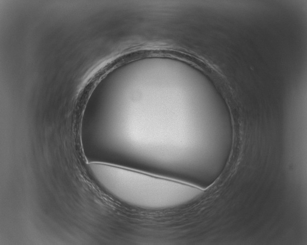 X0000085741311200703160852