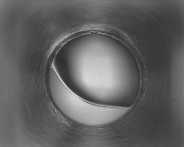 X0000085741312200703160852