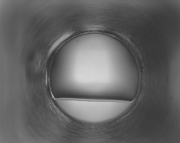 X0000085741317200703160853