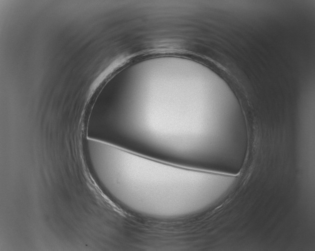X0000085741325200703160853