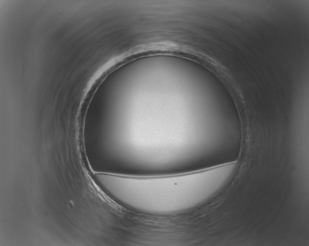 X0000085741326200703160853
