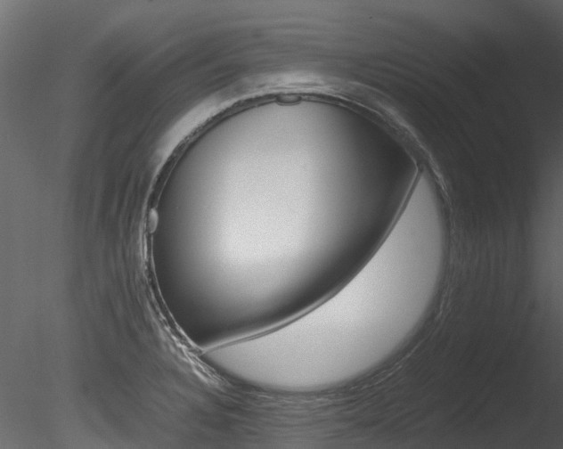 X0000085741328200703160853