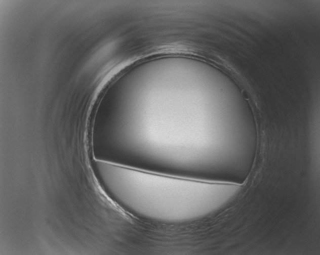 X0000085741331200703160853