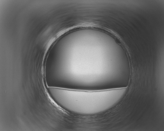X0000085741335200703160853