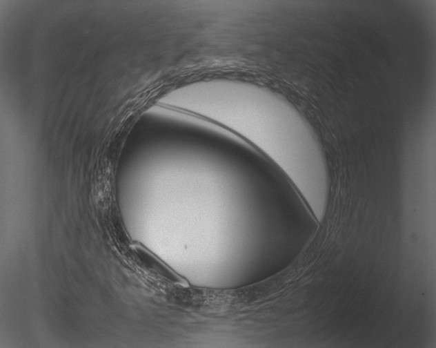 X0000085741349200703160852