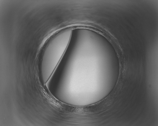 X0000085741360200703160852