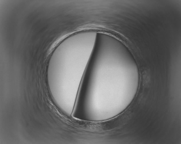 X0000085741363200703160852