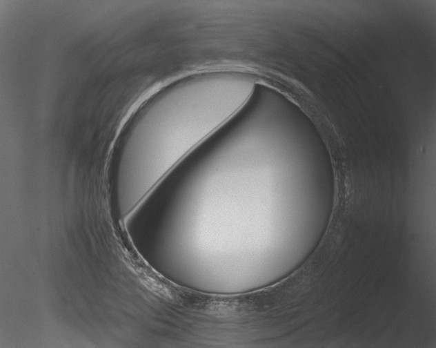 X0000085741364200703160852