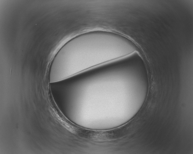 X0000085741367200703160852