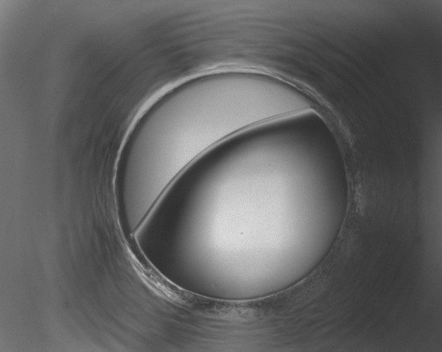 X0000085741372200703160852