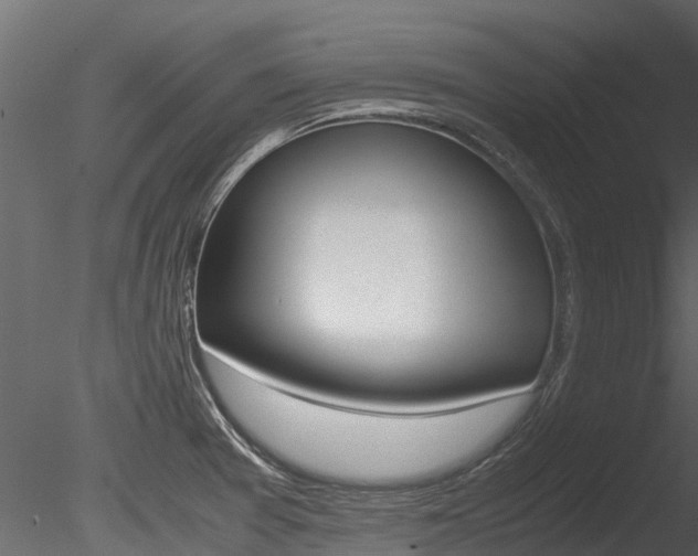 X0000085741377200703160852