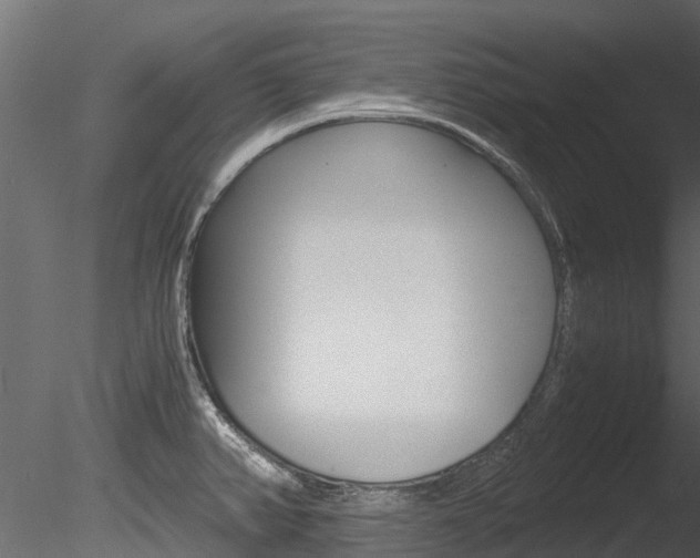 X0000085741382200703160851