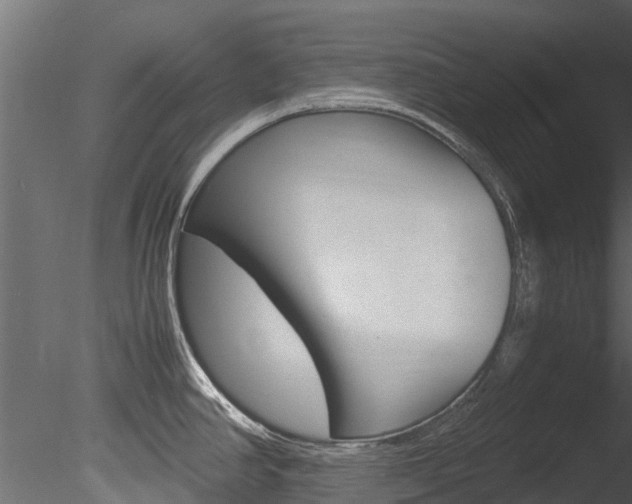 X0000085741390200703160851