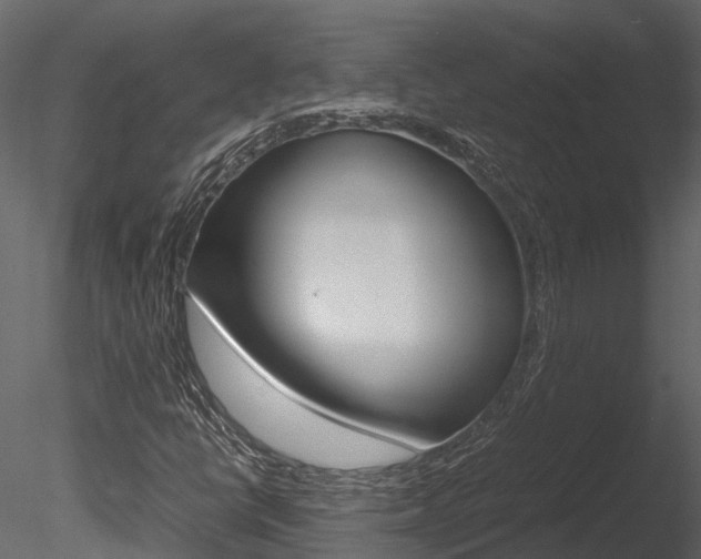 X0000085741398200703160851