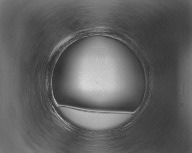 X0000085741402200703160851
