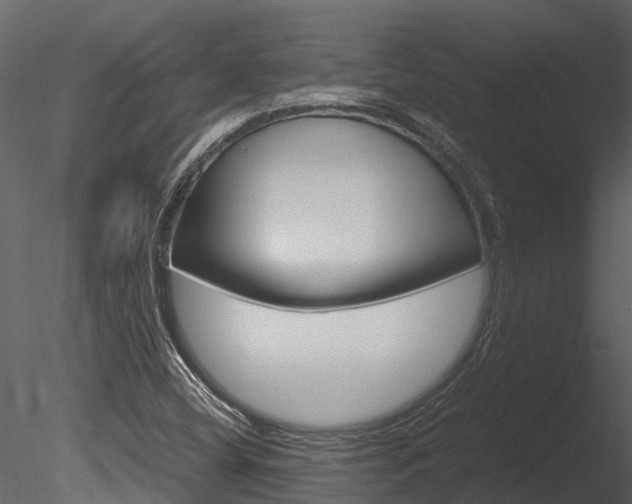X0000085741404200703160851