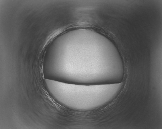 X0000085741405200703160851