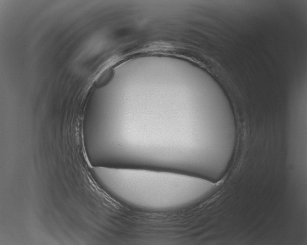 X0000085741409200703160851