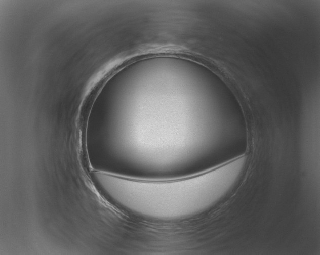 X0000085741414200703160851