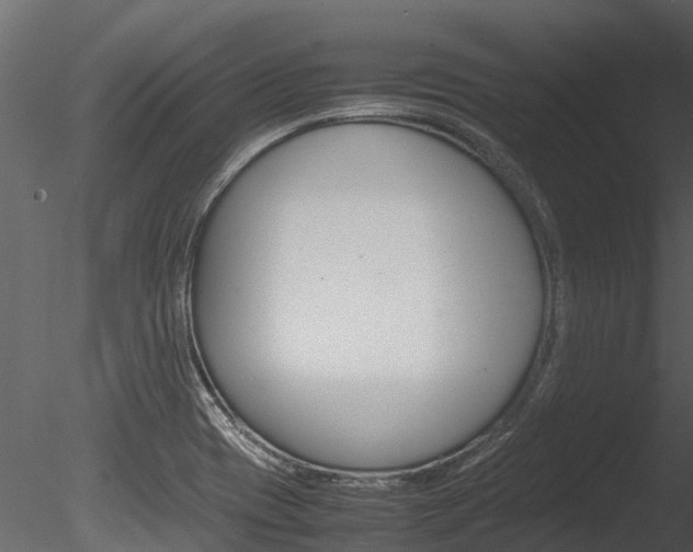 X0000085741417200703160851