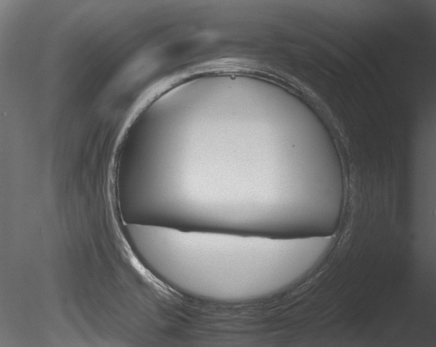 X0000085741421200703160851