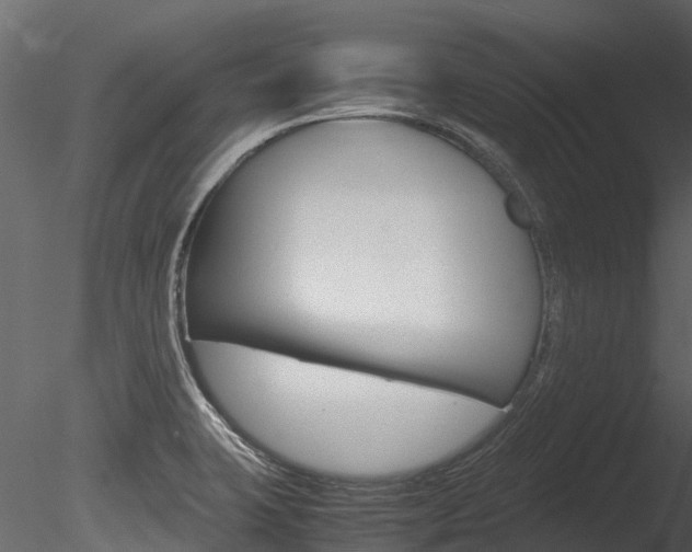 X0000085741423200703160851