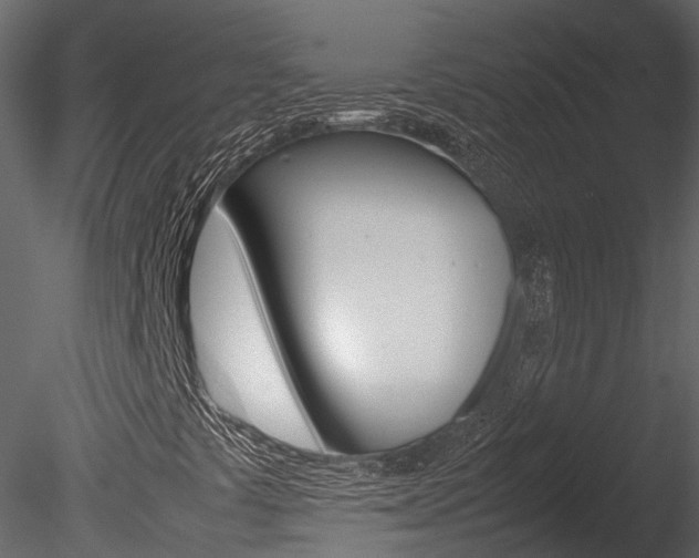 X0000085741441200703160850