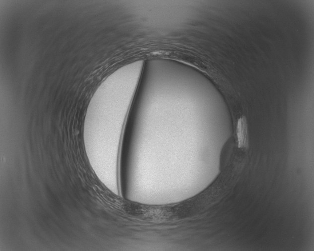X0000085741443200703160850