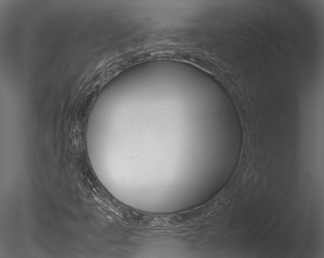 X0000085741445200703160850