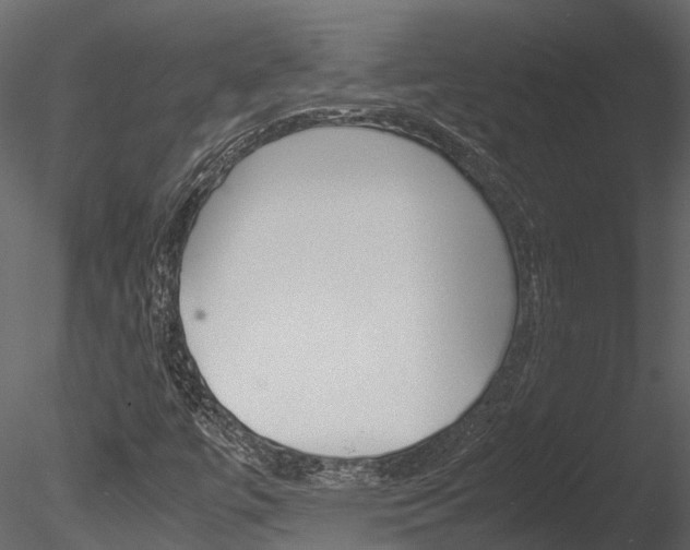 X0000085741447200703160850
