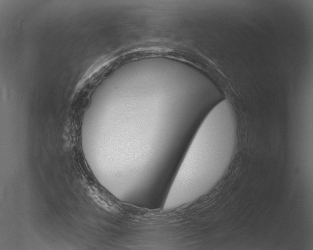 X0000085741448200703160850