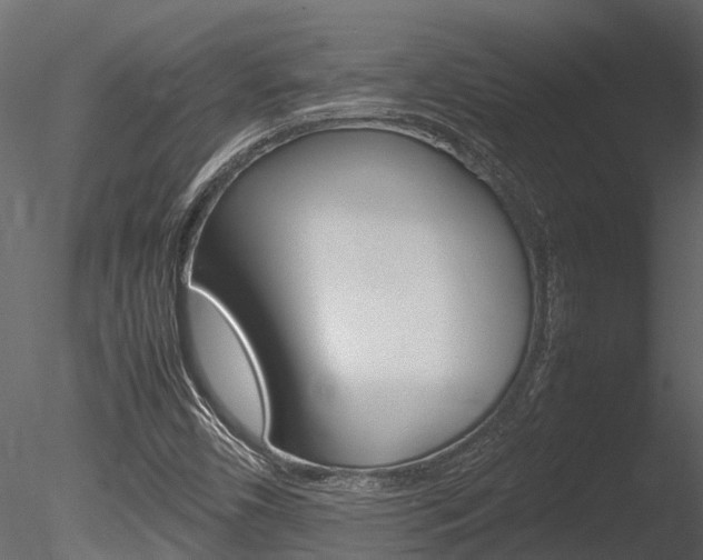 X0000085741450200703160850