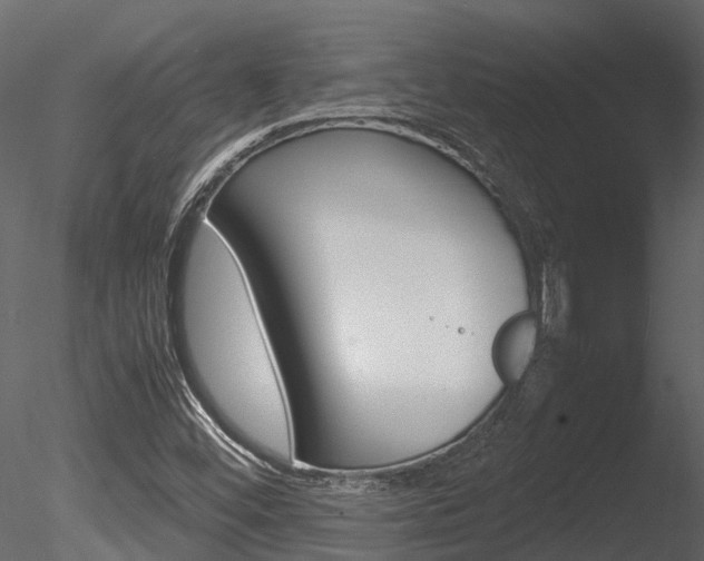 X0000085741452200703160850