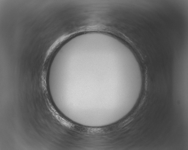 X0000085741454200703160850