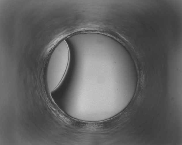 X0000085741455200703160850
