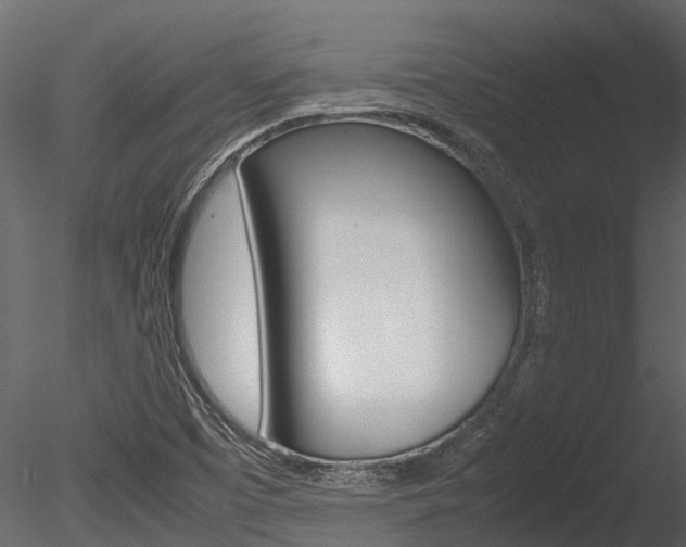 X0000085741457200703160850