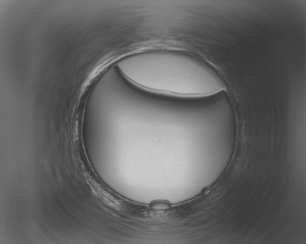 X0000085741459200703160850