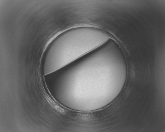 X0000085741460200703160850