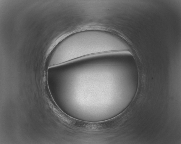 X0000085741461200703160850