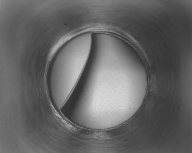 X0000085741464200703160850