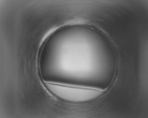 X0000085741469200703160850