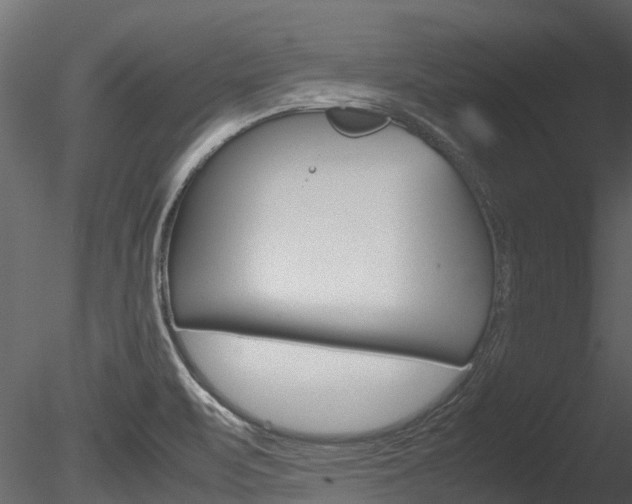 X0000085741471200703160850