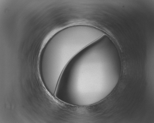 X0000085741472200703160850