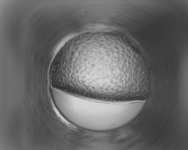X0000085741479200703160850