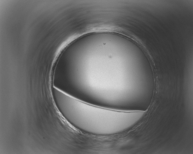 X0000085741480200703160850