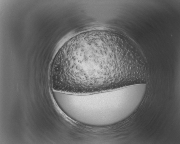 X0000085741483200703160850