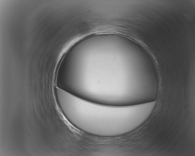 X0000085741485200703160850