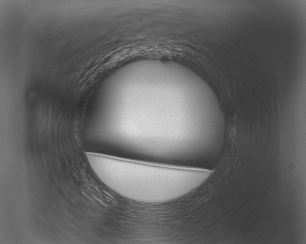 X0000085741490200703160849