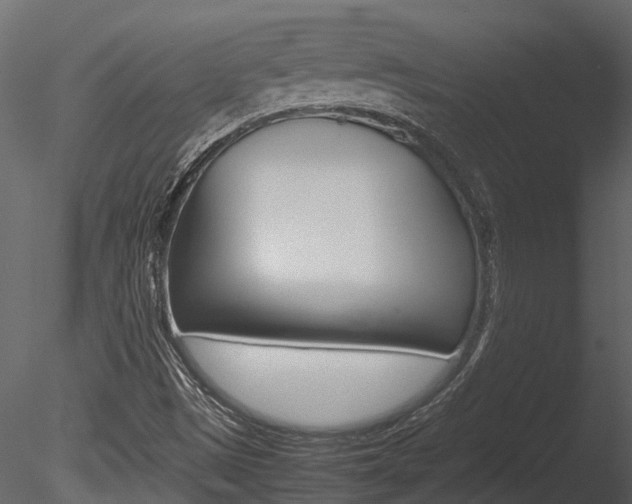 X0000085741497200703160849