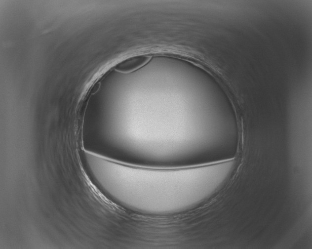 X0000085741500200703160849